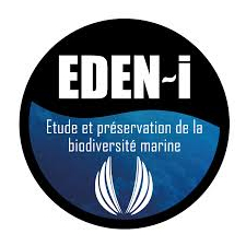 team-member-5132-feautured-image