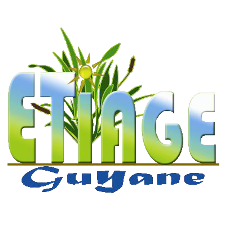 team-member-5136-feautured-image