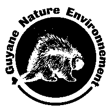 team-member-5381-feautured-image